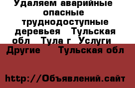 Удаляем аварийные, опасные, труднодоступные деревьея - Тульская обл., Тула г. Услуги » Другие   . Тульская обл.